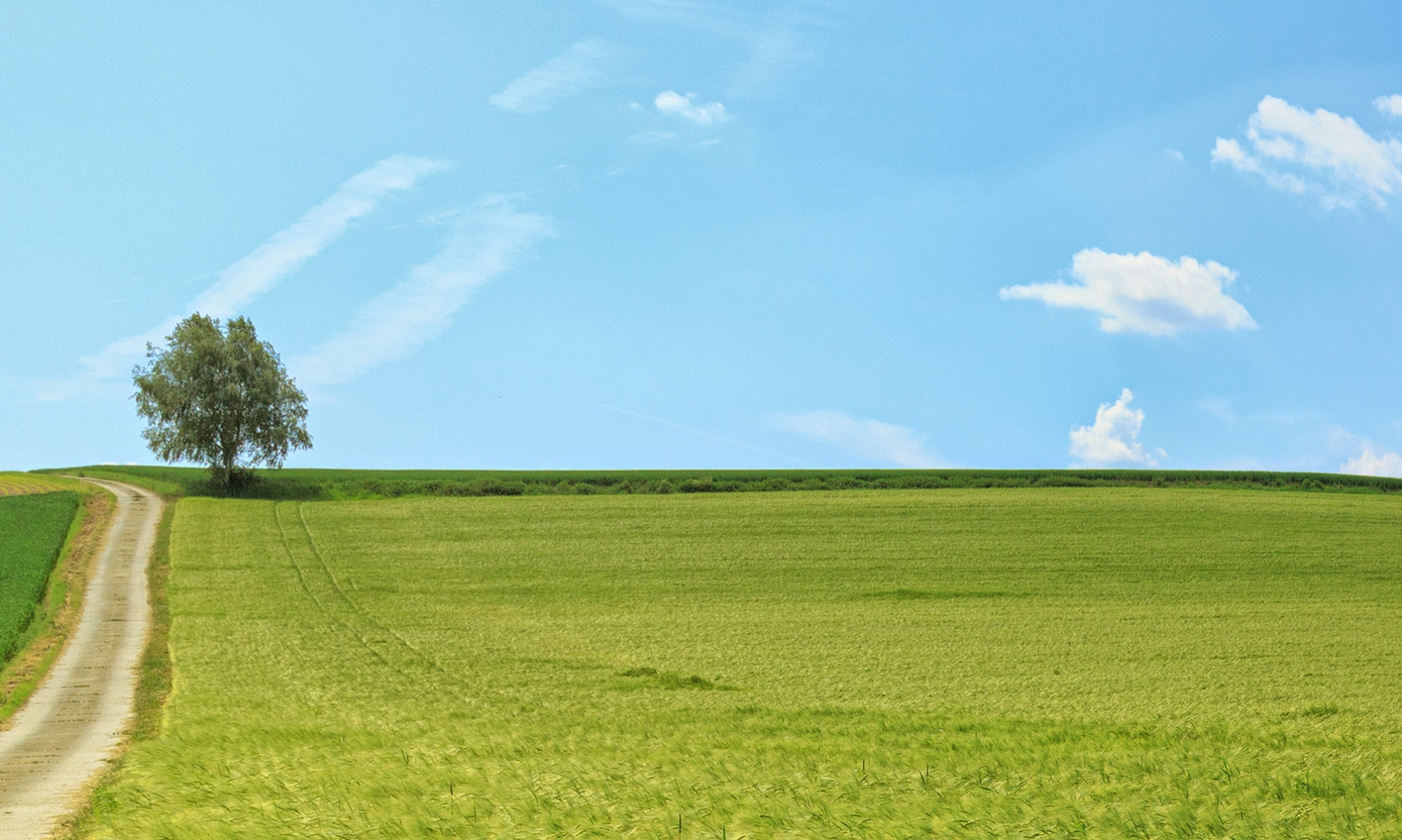 Landschaft